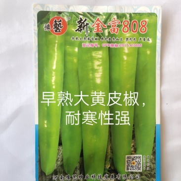 新金富808黄皮辣椒种子黄皮如玉耐弱光结果多抗性强膨果快