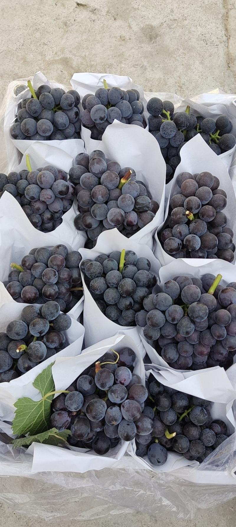 夏黑葡萄，产地直供，对接市场商超，代发全国，免代收费