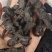 熟地黄熟地统货货干产地河南省足斤足两紫轩堂药业