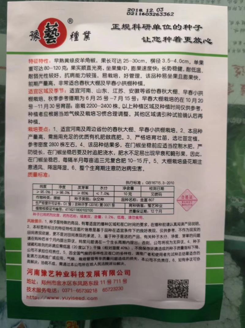 金富807黄绿皮辣椒种子耐弱光耐低温抗病性强膨果快好吃