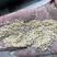 粉碎竹粉可做饲料原料灰分低，价格便宜，养殖添加