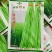 南方夏秋种植国际快线豆角种子油绿条花仁肉厚纤维少