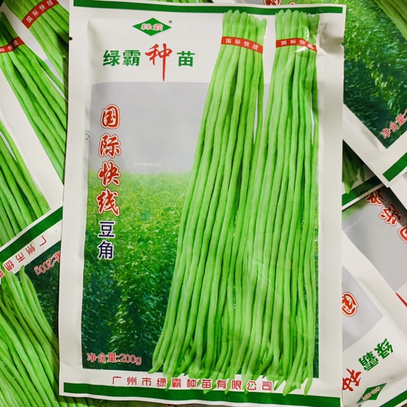 南方夏秋种植国际快线豆角种子油绿条花仁肉厚纤维少