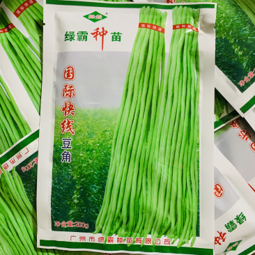 南方夏秋种植国际快线豆角种子油绿条花仁肉厚纤维少