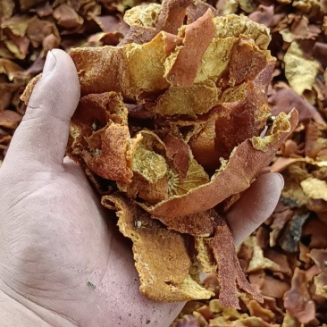 烘干晒干！纯手工桔子皮，蜜桔丝陈皮个陈皮丝高含量