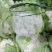 精选菜花,紧花散花2/3斤,产地供货,欢迎采购,质量可靠