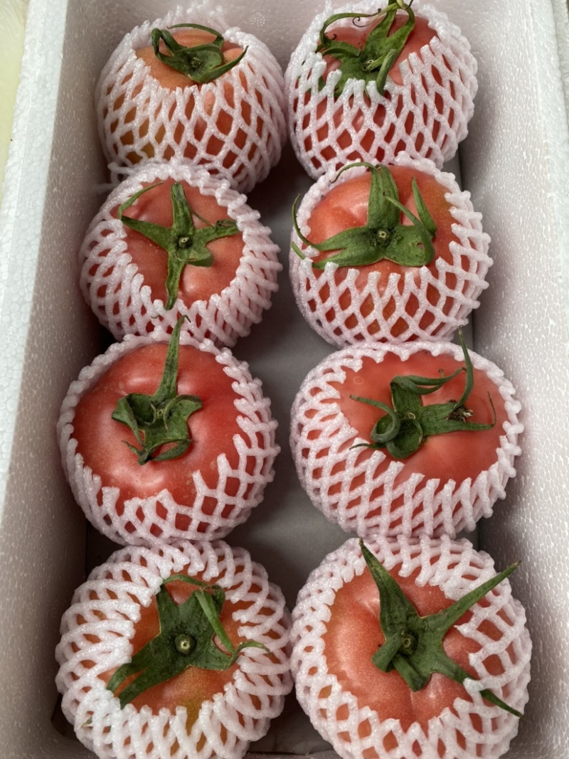 硬粉西红柿