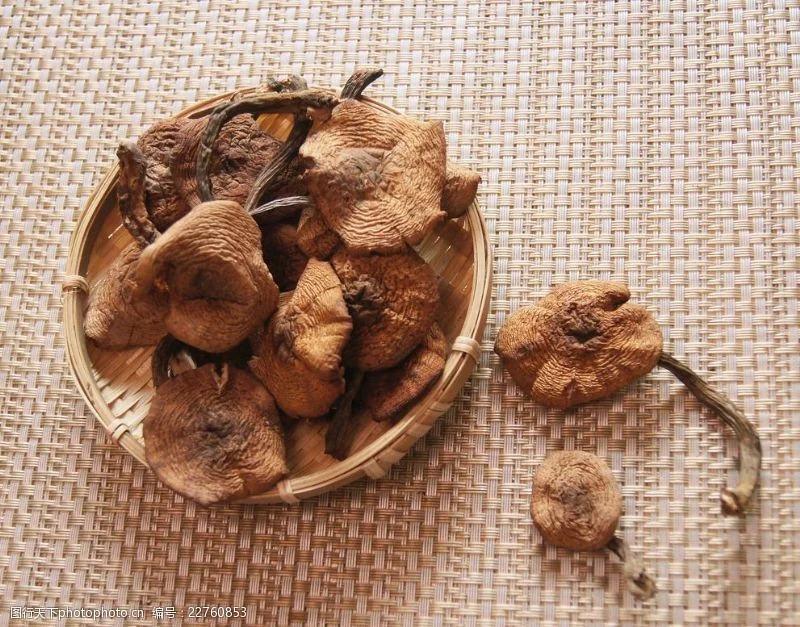东北野生榛蘑，非种植。小鸡炖蘑菇，榛蘑营养丰富。