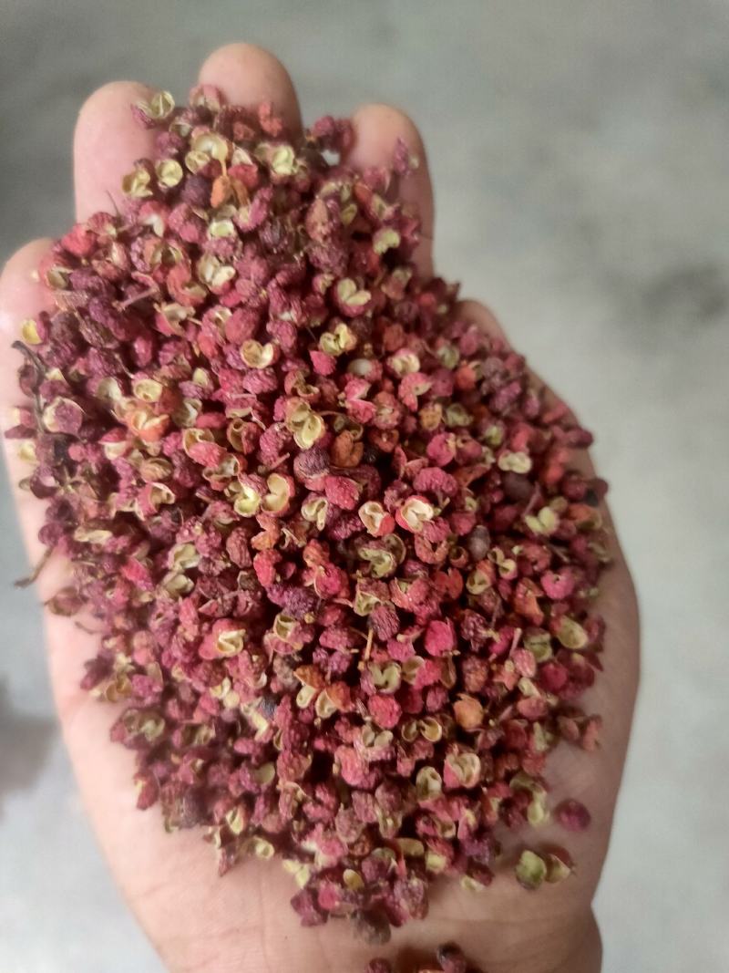 纯正大红袍花椒颗粒大欢迎选购量大优惠