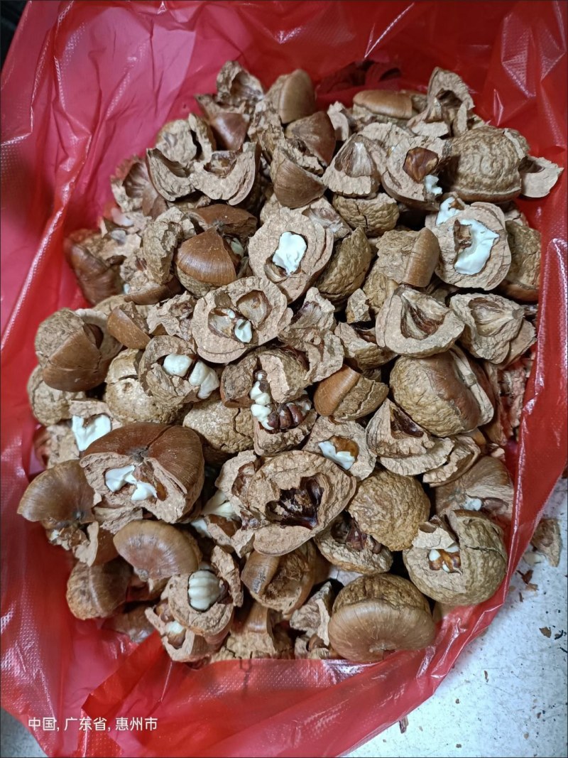 中药材风流果老树优选当天发货包邮泡酒药用