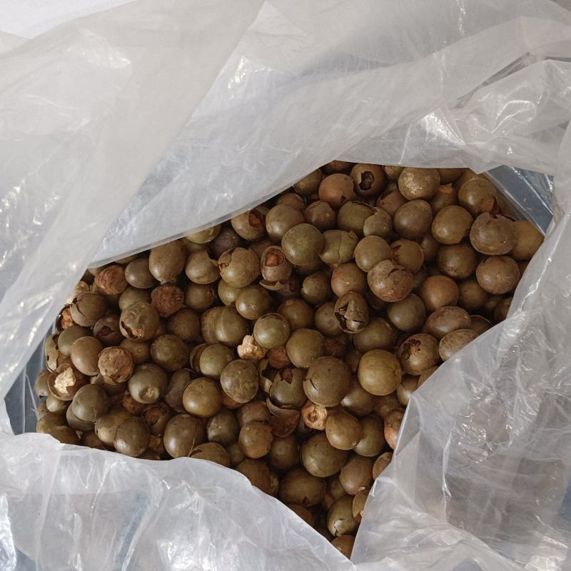 罗汉果装箱破果，质量很好，