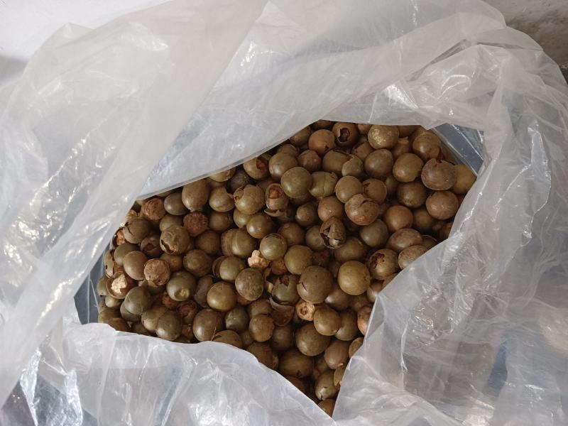 罗汉果装箱破果，质量很好，