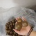 罗汉果装箱破果，质量很好，