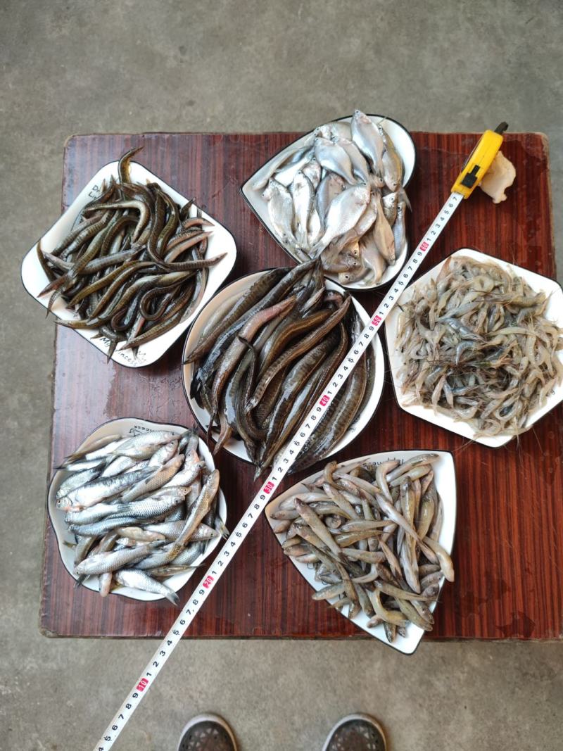河虾，精品淮河小河虾，新鲜干净，活虾冷冻，2斤一袋。