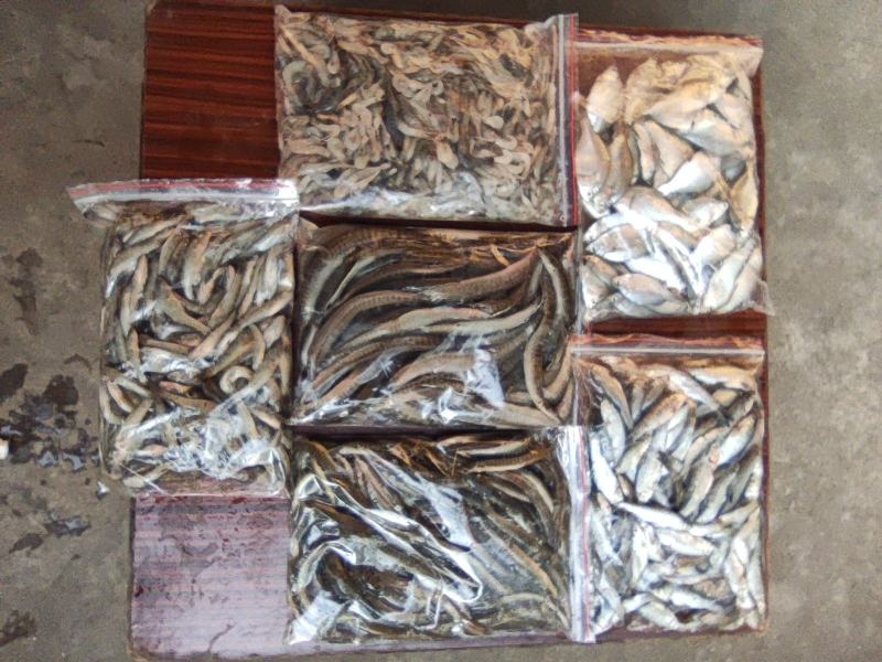 河虾，精品淮河小河虾，新鲜干净，活虾冷冻，2斤一袋。