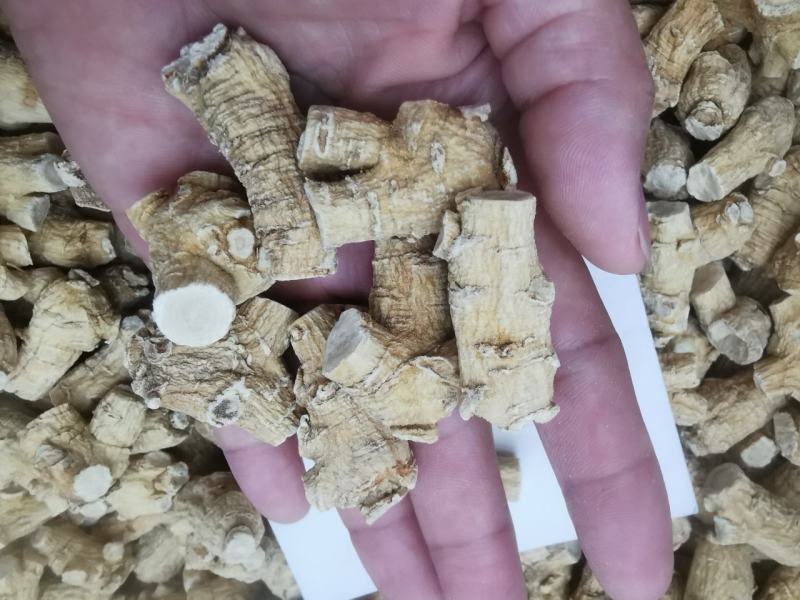 5克加拿大花旗参，颜色金黄