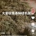 出售绿豆、白豆