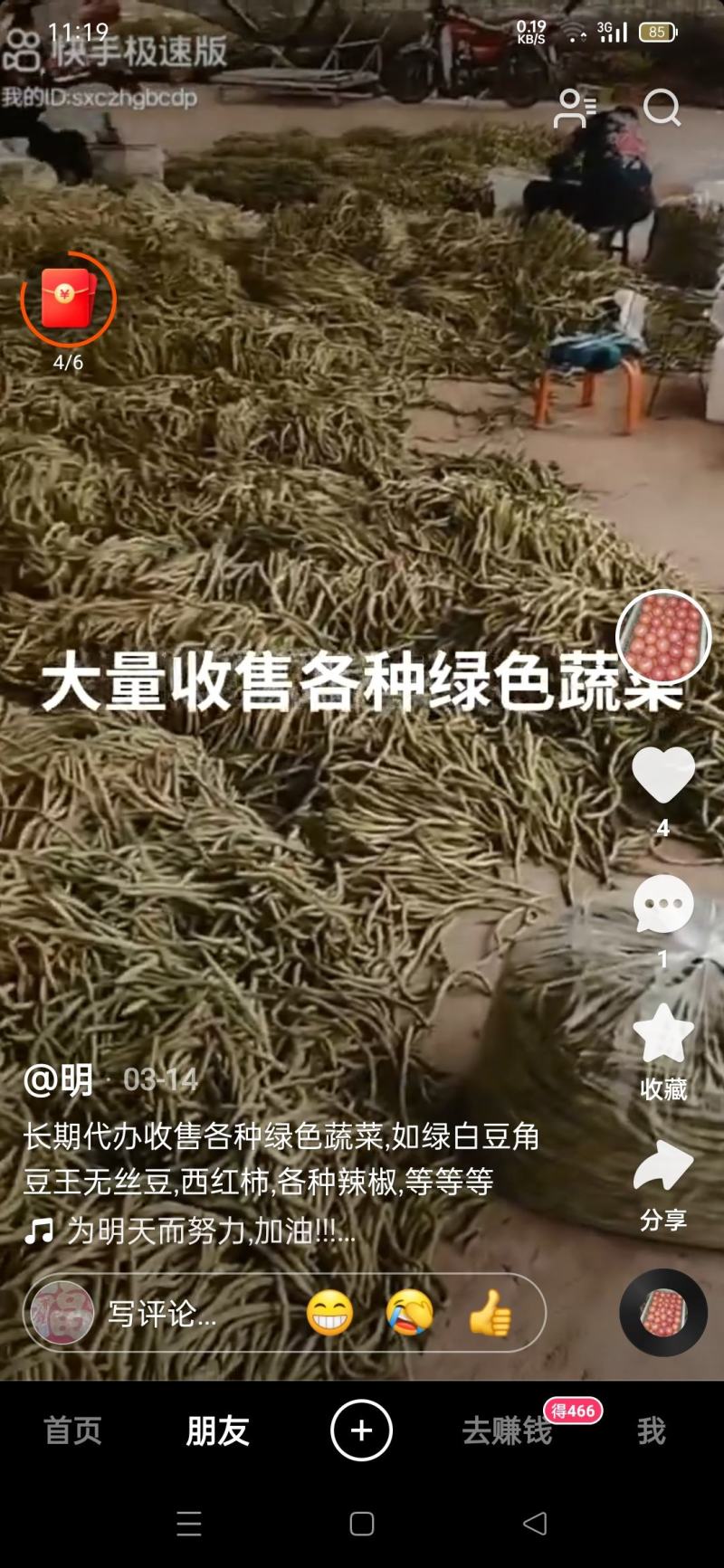 出售绿豆、白豆