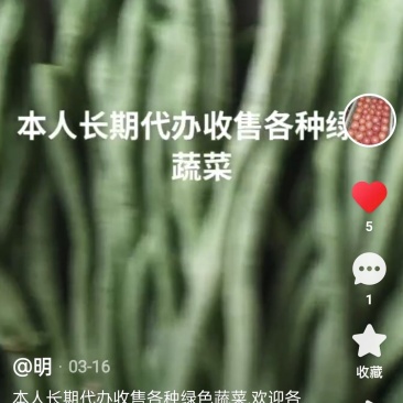 出售绿豆、白豆