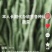 出售绿豆、白豆