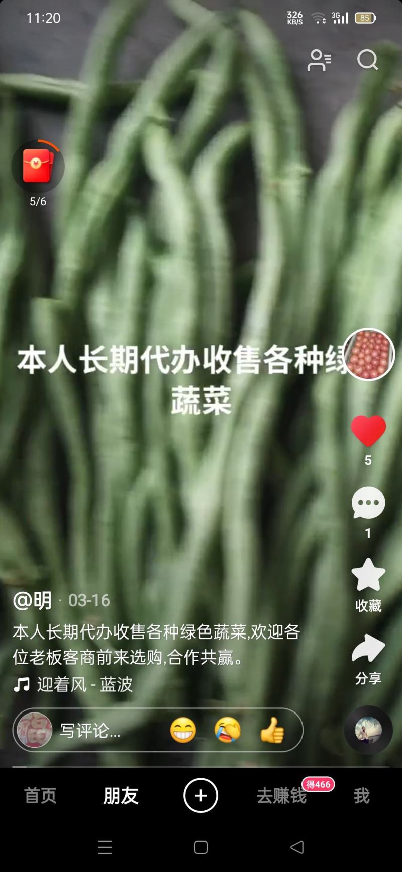 出售绿豆、白豆