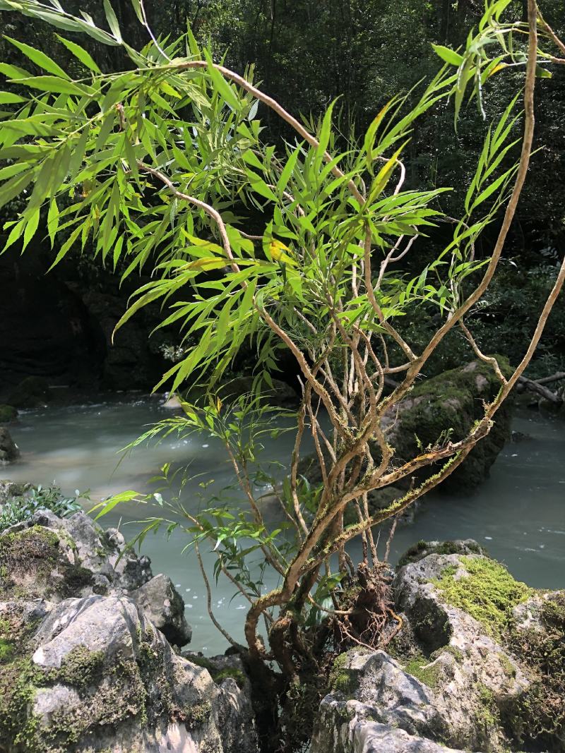 贵州大自然的十大功劳，