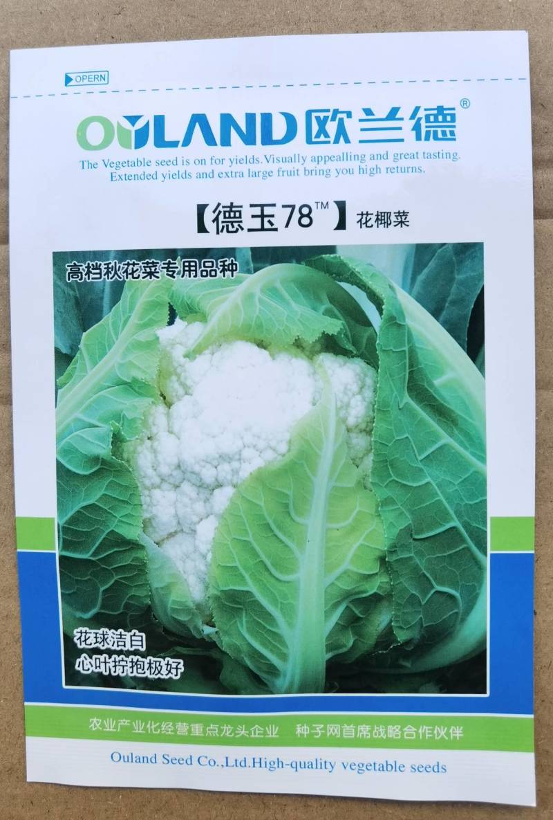欧兰德德玉78紧花菜种子实花菜菜花花球洁白自覆免盖花