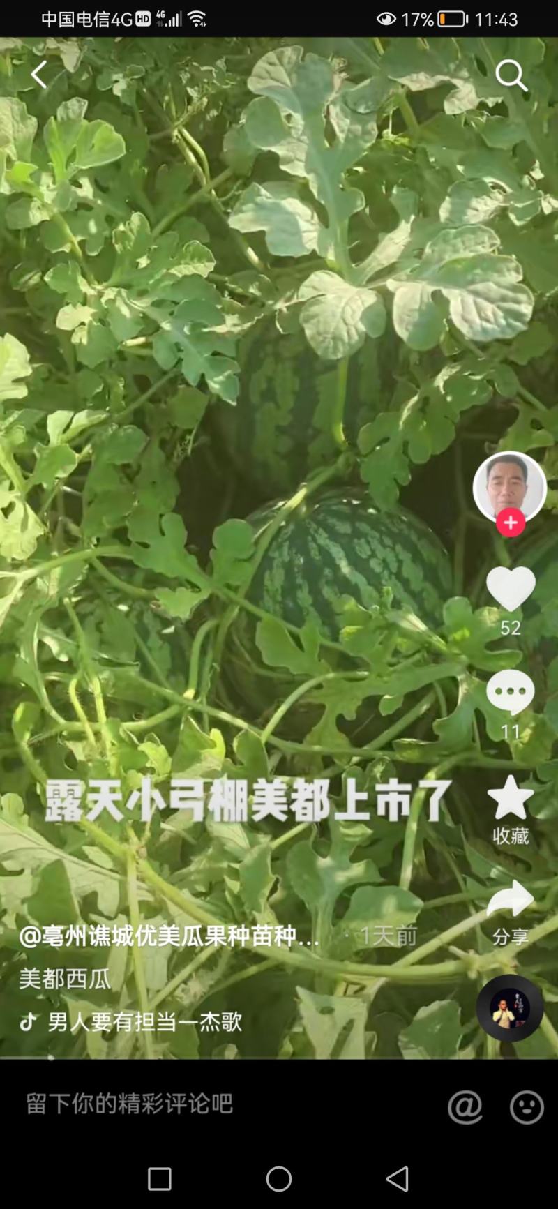 8424西瓜