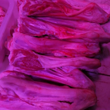 羔羊后小腿价格不高