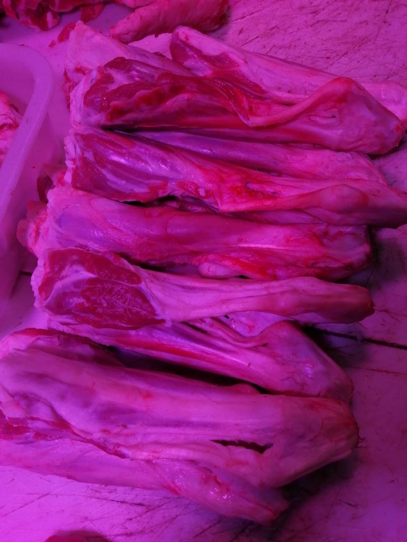 羔羊后小腿价格不高
