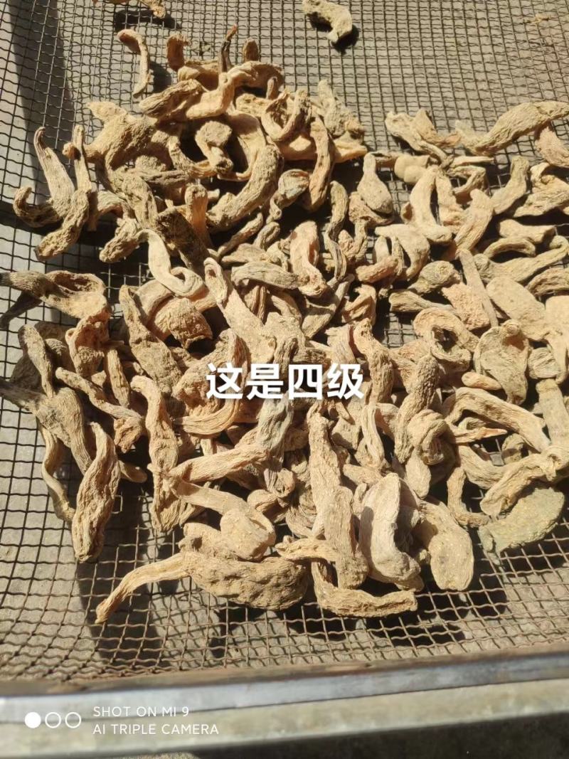 天麻大统货全干30多个头一斤4o元一斤有吨
