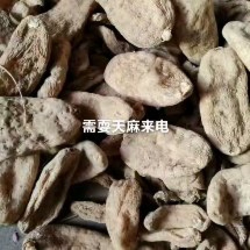 天麻大统货全干30多个头一斤4o元一斤有吨