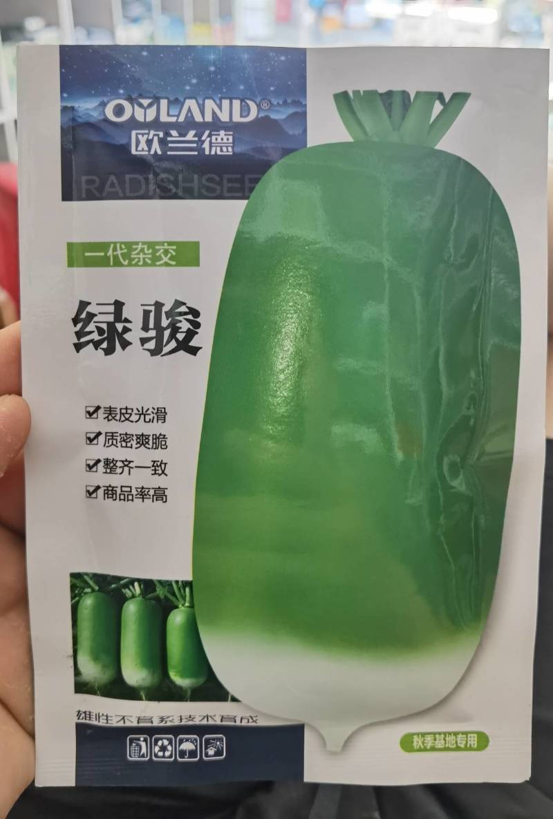 欧兰德绿骏萝卜种子高品质杂交绿皮绿肉秋季基地水果萝卜种子
