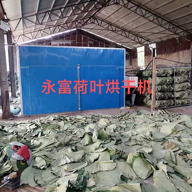 荷叶烘干机，荷叶烘干房，荷叶烘干设备