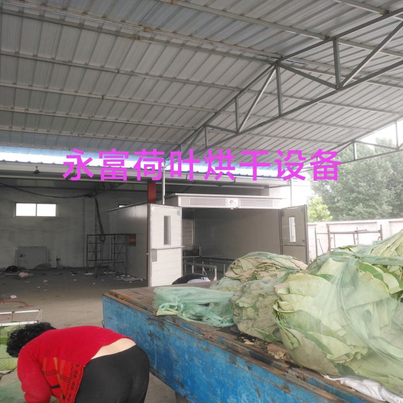 荷叶烘干机，荷叶烘干房，荷叶烘干设备