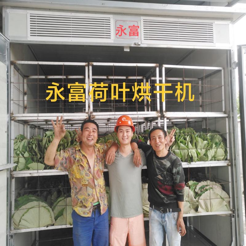 荷叶烘干机，荷叶烘干房，荷叶烘干设备