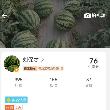 美都无籽头茬直生苗！台州人种植大棚精品美都，个头匀称瓤甜