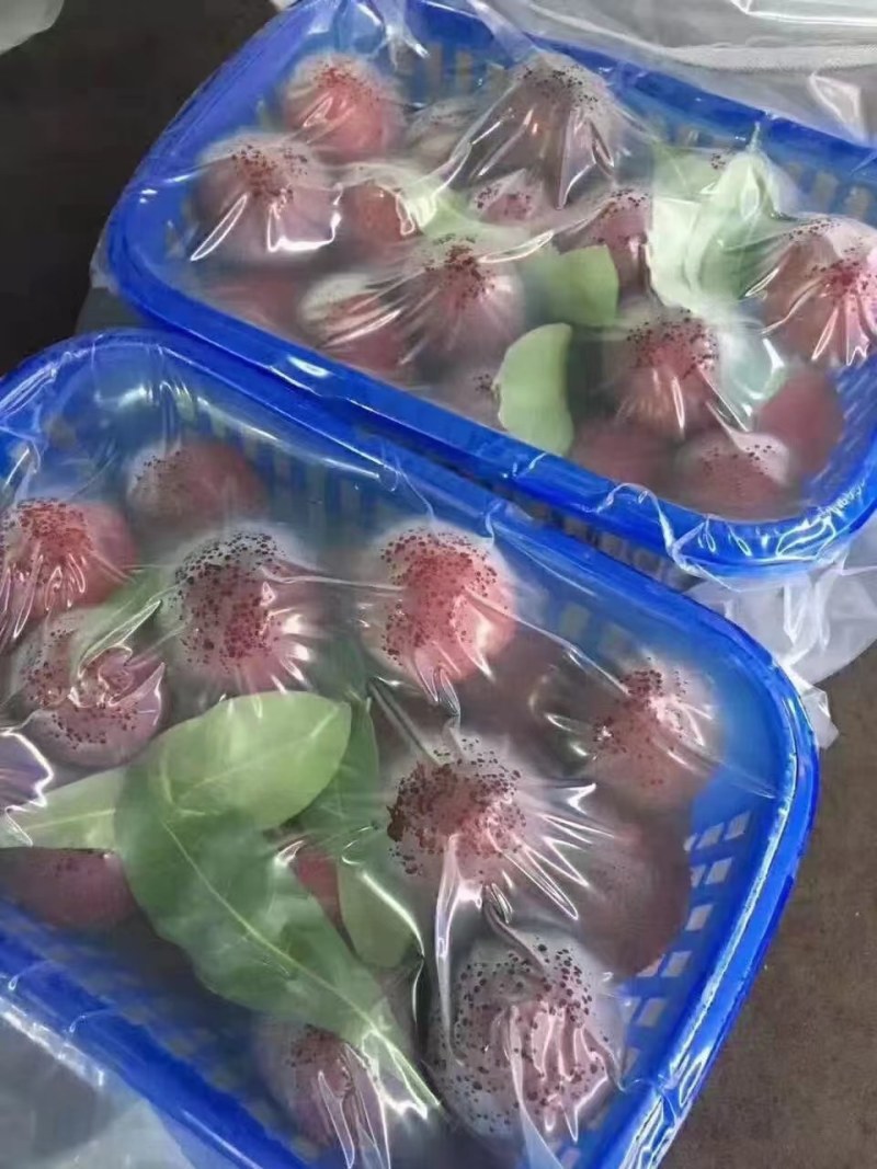 东魁仙居杨梅一件代发对接电商平台