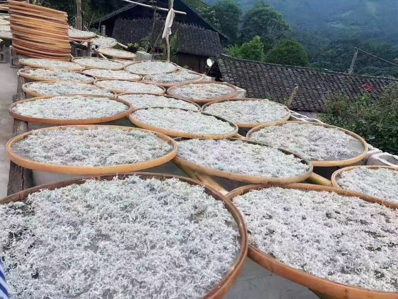 张家界莓茶龙须芽尖养生茶神仙草
