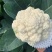 新雪王70花菜种子花球更白更厚实外叶包球其它高10%产