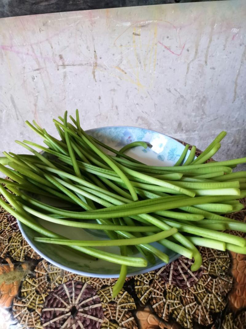新鲜红薯杆茎叶均可食用要的现采百里之内免费送货上门