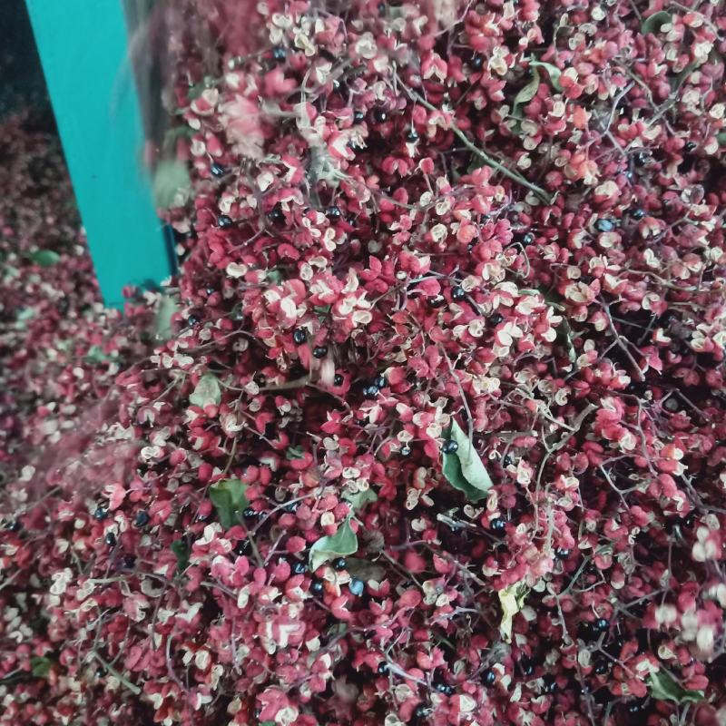 花椒