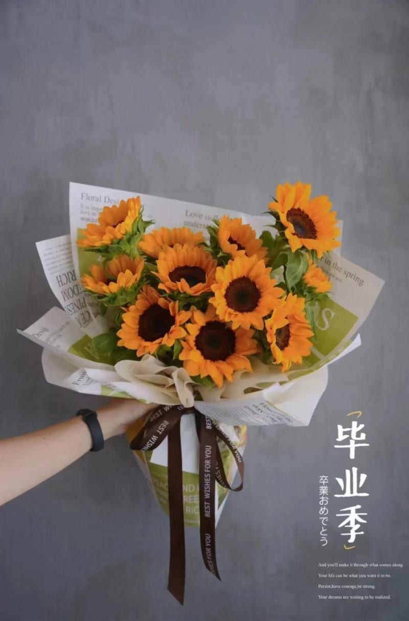 向日葵种子，鲜切花“文森特”向日葵种子，观赏性强，周期短