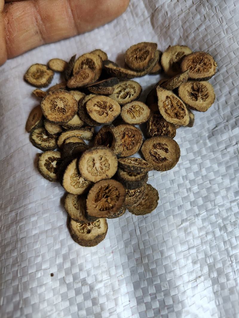 青皮01统批发零售品种齐全量大支持混批
