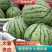 西瓜，美都，8424，麒麟瓜，京城五号，黑美人，产地直发