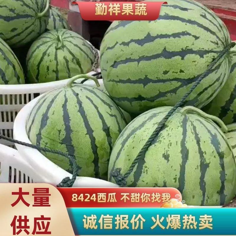西瓜，美都，8424，麒麟瓜，京城五号，黑美人，产地直发