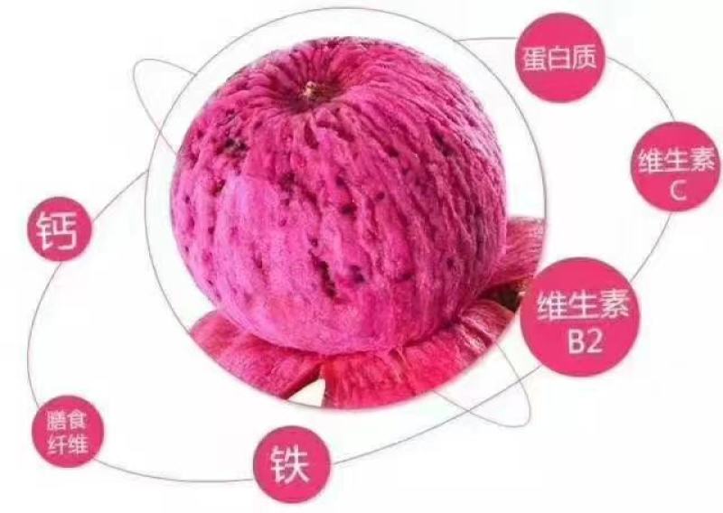 红心火龙果皮色好口感很甜，水分足欢迎个大渠道对接