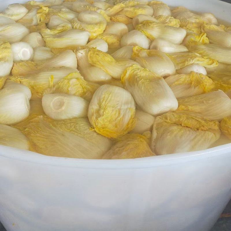 东北酸菜