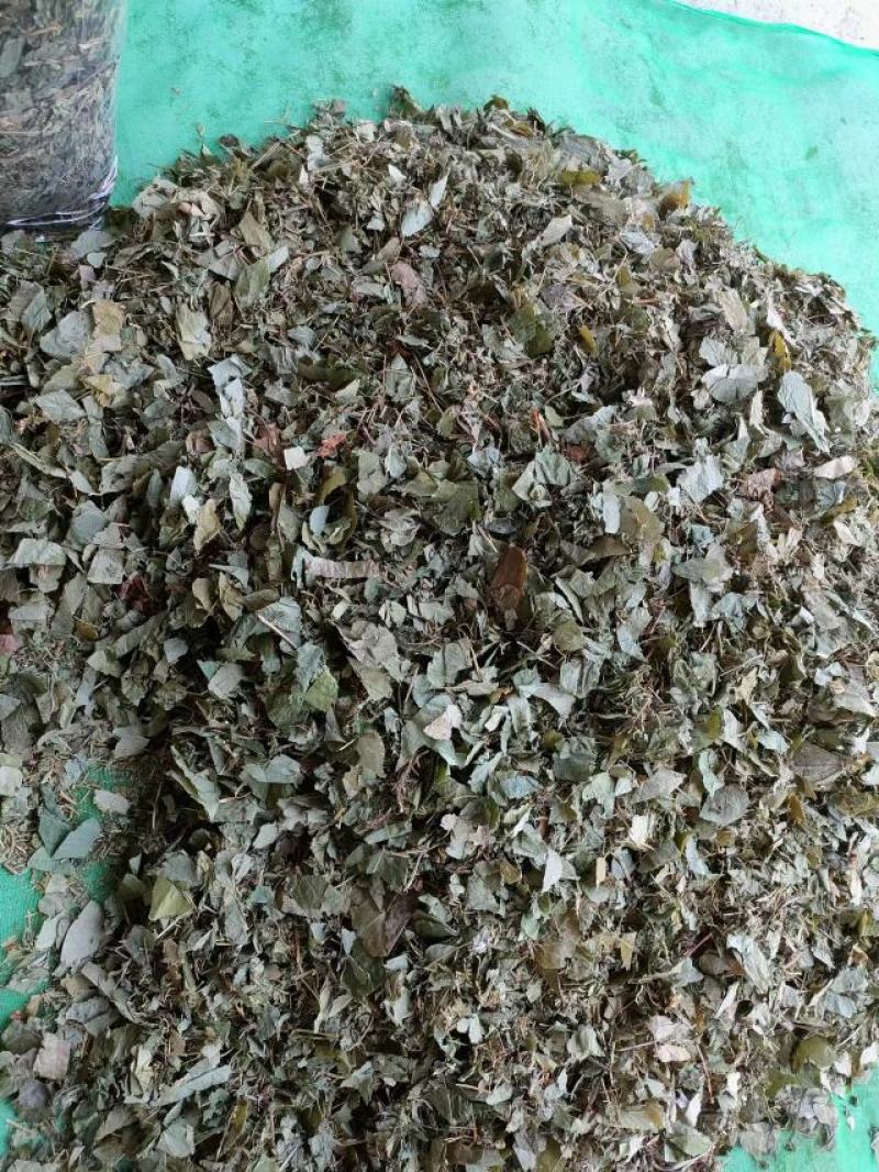 （热销）淫羊藿产区直供货源充足量大从优视频看货全国发货