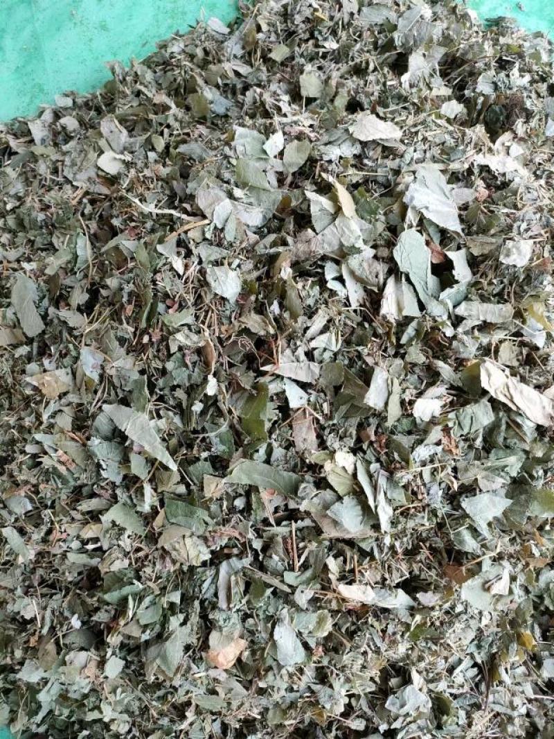 （热销）淫羊藿产区直供货源充足量大从优视频看货全国发货